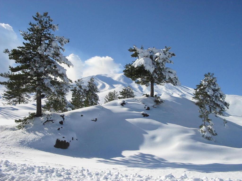 Etna Snow&Sea Apartment Piedimonte Etneo Exterior foto